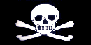 Pirate Flag - Poison