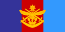 Tri Services Flag