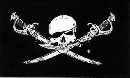 Brethren of Coast Pirate Flag